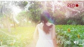 碾压日韩小清新视频